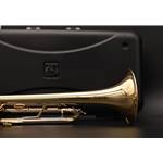 B&S   BS210  Prodige Student Trumpet