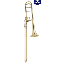 Bach   42AF  Infinity axial flow valve, open wrap